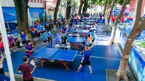 中国女棒赛事表现稳定因素