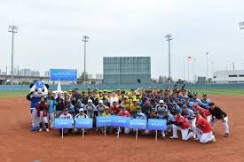 牛牛这手牌真值你冒险吗（牛牛这手牌，值得一搏吗？）